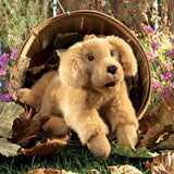 Folkmanis Golden Retriever Puppy Dog // #1 Australian Puppet Store™