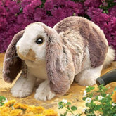 Baby Lop Rabbit Folkmanis
