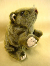 10 Australian Wild Animal Aussie Puppets Pack