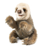 Baby Sloth Puppet Folkmanis