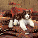 Shop Folkmanis Ragdoll Cat // #1 Australian Puppet Store™ // Shop Now