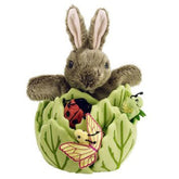 Rabbit In Lettuce