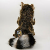 Hansa Raccoon 45cm