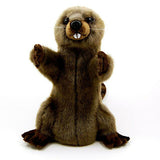 Hansa Beaver 43cm