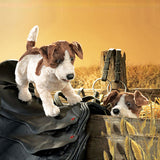 Jack Russell Dog - Folkmanis // #Best Australian Puppet Store™