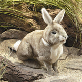 Cottontail Rabbit - Folkmanis