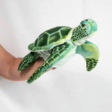 Hansa Turtle