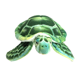 Hansa Turtle