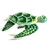 Hansa Turtle