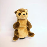 Meercat Korimco