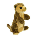 Meercat Korimco