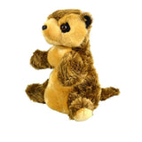 Meercat Korimco