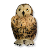 Owl & Babies