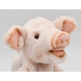Hansa Pig 25cm