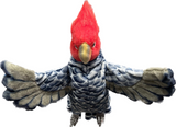 Hansa Gang Gang Cockatoo