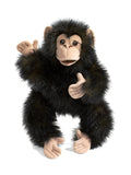 Baby Chimpanzee Folkmanis