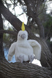 Aussie Birds Puppet Pack