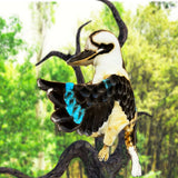 Hansa Kookaburra