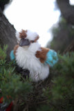 Aussie Birds Puppet Pack