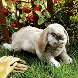 Holland Lop Rabbit - Folkmanis