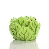 Rabbit In Lettuce