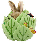 Rabbit In Lettuce