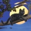 Folkmanis™ Black Cat Hand Puppet - Australian Puppet // Shop Now